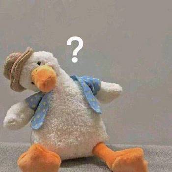 1659168644530029.jpg 問號表情.jpg