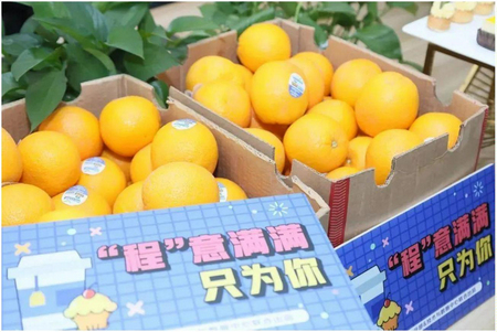 1697774483142922.jpg 圖片1.jpg